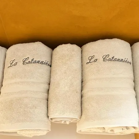 La Cotonniere Downtown * Кольмар