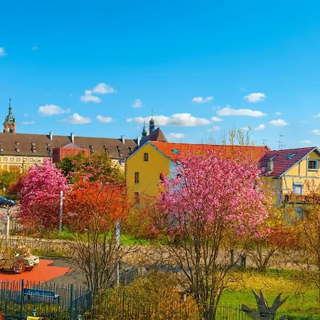 La Cotonniere Downtown Апартаменты Кольмар