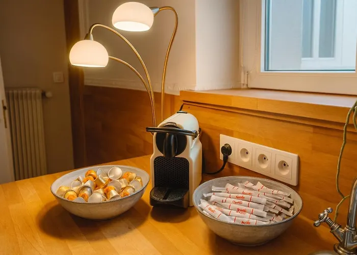 La Cotonniere Downtown Daire Colmar