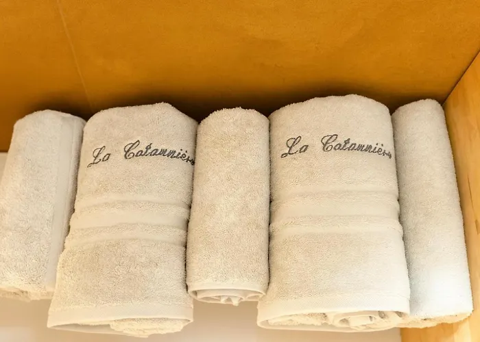 La Cotonniere Downtown * コルマール