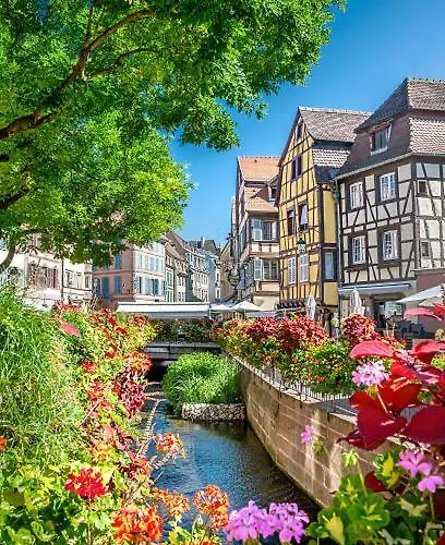 Daire La Cotonniere Downtown